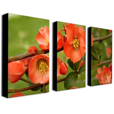 Trademark Fine Art -Kathier McCurdy 'Quince' Canvas Art