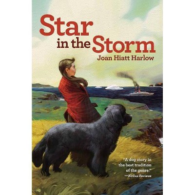 Star in the Storm - (Aladdin Historical Fiction) by  Joan Hiatt Harlow (Paperback)