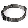 Country Brook Petz Deluxe Nylon Dog Collar and Leash - 3 of 4