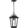 Quoizel Lighting Darius 1 - Light Pendant in  Earth Black - 3 of 4