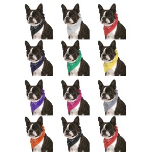 12 Pack Paisley Triangle Cotton Dog Bandanas for Daily Wear or Events - 1 of 4