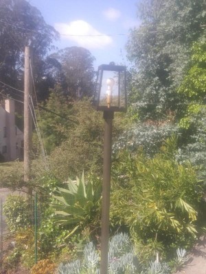 Guest review image 1 of 2, zoom in