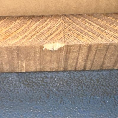 Guest review image 1 of 2, zoom in
