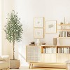 Olive Trees Artificial Indoor, Tall Faux Silk Plant White Planter, Fake Olive Trees with Natural Wood Trunk and Green Fake Moss for Home - 3 of 4