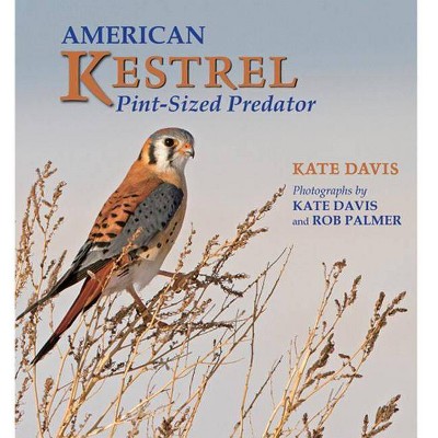 American Kestrel - by  Kate Davis (Paperback)