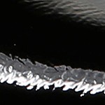 black patent