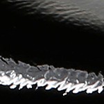 black patent