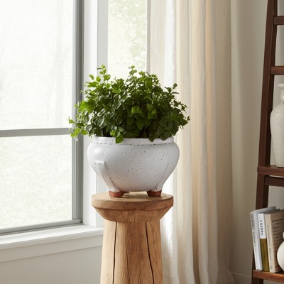 Planter Terracotta Crackled Glaze Round Footed Design for Indoor Outdoor Garden or Home Decor Use - 6" White