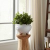 Modern Ceramic Planter Pot for Home Decor with Raised Base - Indoor and Outdoor Use for Houseplants, Patio, or Garden Decor - 6" White - 2 of 4