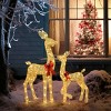 Syemin Decorative Holiday Scene Props 2-Piece Lighted Christmas Deer Family Outdoor Yard Decoration SetChristmars Decor, Gold, 7.9"*22.1"*53.9" - 4 of 4