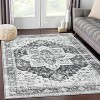 TackView Machine Washable Area Rug, Non Slip Backing Rugs Boho Vintage Foldable Stain Resistant Indoor Carpet for Bedroom Living Room - 3 of 4