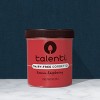 Talenti Dairy-free Frozen Roman Raspberry Sorbetto - 16oz : Target