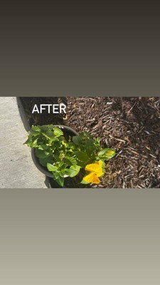 Guest review image 1 of 3, zoom in