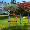 Dog Agility Training Set with Hurdles Weave Poles and Hoop,3 Piece Obstacle Course with Carry Bag for Small Backyards,Blue - LAOTIES - 2 of 4