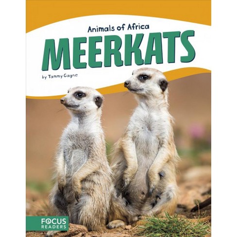 Meerkats Animals Of Africa By Tammy Gagne Hardcover