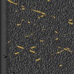 seth freakin rollins