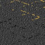 seth freakin rollins