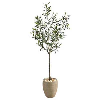 76.5x 30 Artificial Olive Tree in Ceramic Pot - Threshold™ designed with  Studio McGee