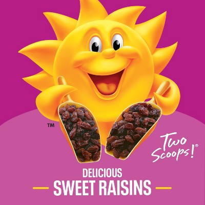 Kellogg's Raisin Bran Protein Breakfast Cereal - 17.3oz