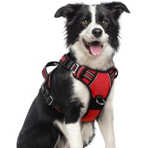 rabbitgoo Dog Harness Medium Sized, No Pull Dog Vest with 3 Buckles, Adjustable Soft  Strips, Red, M - 1 of 1
