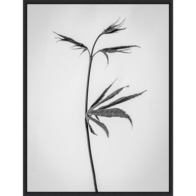 Amanti Art Amid the Flowers 65 by Teis Albers Canvas Wall Art Print Framed 18 x 24-in.