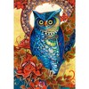 1500 Piece Jigsaw Puzzle, Hoot, David Galchutt, Art Nouveau, Art. Puzzle, Adult Puzzles, Castorland C-151110-2 - 2 of 4