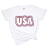 Simply Sage Market USA Outline Garment Dyed Tee - 2 of 4