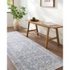 Livabliss Lorelai Washable Woven Indoor Area Rugs - Vivir x Livabliss - 2 of 4