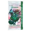 Bloomburrow Magic the Gathering Collector Box - 2 of 2