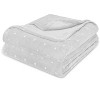 Home Mart Goods Silver Super Soft Warm Flannel Fleece Plush Microfiber Bed Throw Blanket - 2 of 2