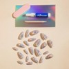 Chillhouse Chill Tips Press on Fake Nails - Chill at the Disco - 24ct - 4 of 4