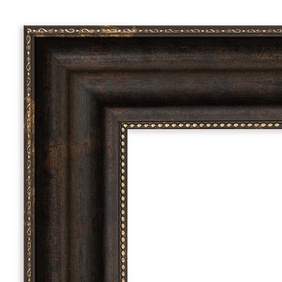 Stately Bronze and Gold Polystyrene Wall Picture Frame