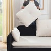 53" Modern Convertible Sofa Bed, Velvet Fabric Pull Out Sleeper Loveseat With USB Port And 2 Removable Armrests - 4 of 4