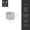 Viski Large Glacier Rocks Soapstone Cubes - Whiskey Ice Cubes, Chill Whiskey Bar Rocks, Large Drink Chillers, Ice Cube Substitute, Set of 2, Grey - 3 of 4