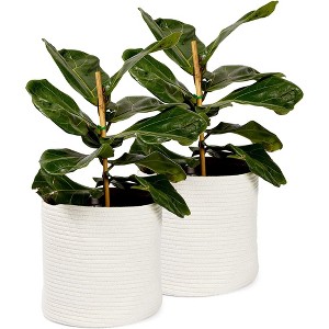 Juvale 2 Pack White Woven Basket Planters for Indoor Plants with Plastic Liner, Bohemian Style Decorative Storage for Home, 11 In - 1 of 4