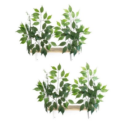 On2Pets Rectangle Cat Canopy Shelves - Green - 2ct