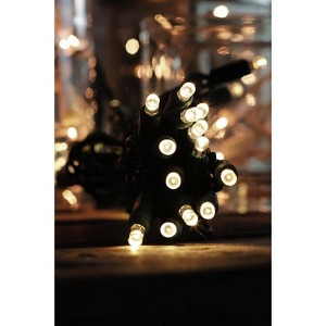 Perfect Holiday 40 LED String Light with Green Wire - Battery Operated - 1 of 3
