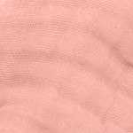 bold blush