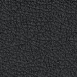 washington commanders