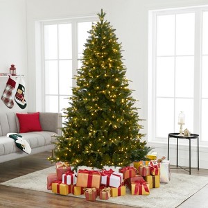 Home Imports Emporium Traditional Artificial Fir Christmas Prelit Tree with Lights, Green - 1 of 4