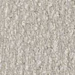 Mottled Weave Oyster