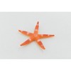 Collectible Wildlife Gifts | Starfish, Sea Star, Echinoderms,  Asteroidea, Ocean, Sea Life, Plastic ,  Animal, Life Like, Gift,   2 "   F931 B158 - 4 of 4