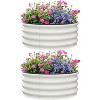 Acekool Oval Garden Planter - 2 of 4
