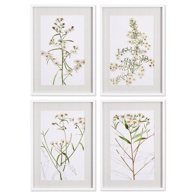 Plum & Post Daisy Prints, Set Of 4