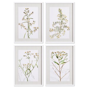 Plum & Post Daisy Prints, Set Of 4 - 1 of 4