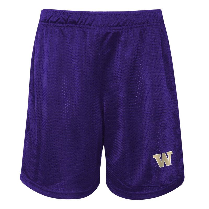 NCAA Washington Huskies Toddler Boys&#39; T-Shirt &#38; Shorts Set, 3 of 4