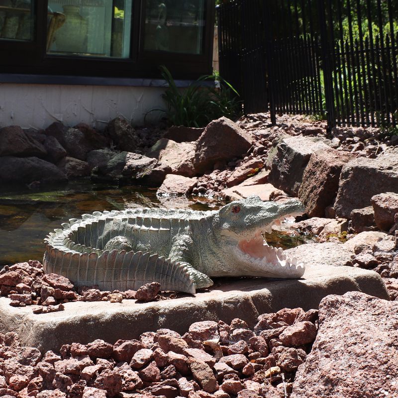 Sunnydaze Chloe the Crabby Crocodile Realistic Polystone Garden Statue Decor for Indoor or Outdoor Use - 18", 6 of 13