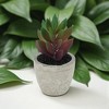 Unique Bargains Artificial Plants Plastic Pink 2.36"x2.36"x2.76" 1 Pcs - 2 of 4