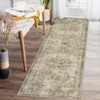 Indoor Soft Vintage Flower Area Rugs for Living Room Bedroom Washable Low Pile Non Slip Carpet Retro Distressed Rug Room Decor - 3 of 4