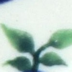 porcealin vine